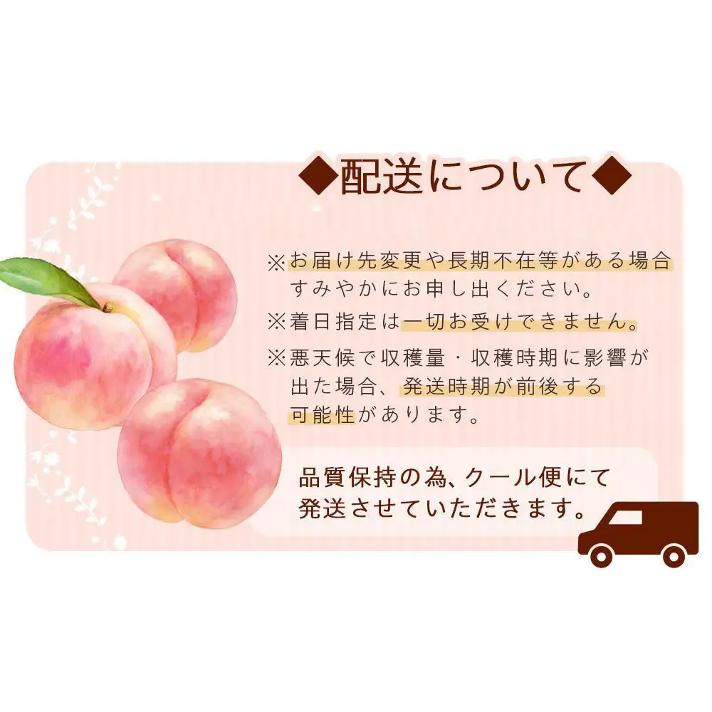 和歌山県産 桃 秀品 6～9玉 約2kg［NY7］