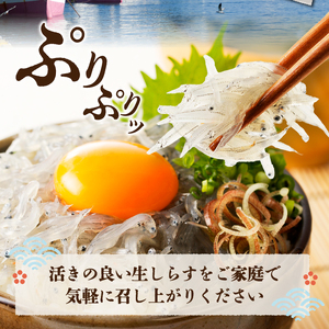 【定期便 3 】生しらす100g 6個×3回 (a30-234)