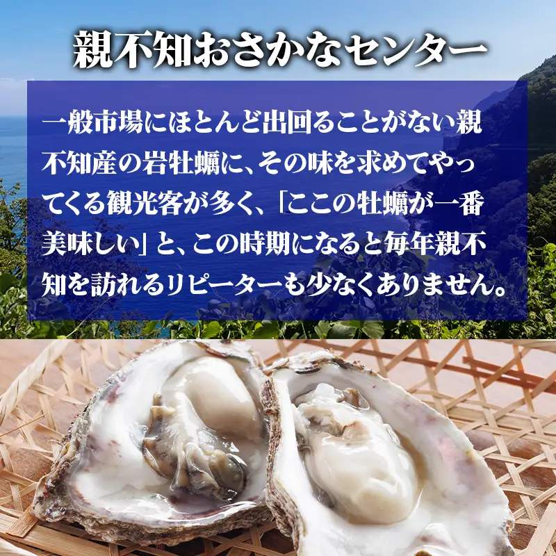 【先行予約】親不知産 天然岩牡蠣(生食用) 大サイズ10個前後 2026年7月中旬以降順次発送 鮮度抜群！ 水揚げ直後に発送 日本海 かき カキ 岩ガキ