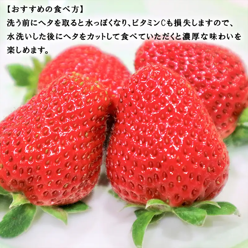『先行予約』【令和9年1月より順次発送】濃厚苺 さちのか 250g×4パック(合計1kg)