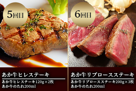 【定期便6回】あか牛 ステーキ 食べ比べ！ 6部位 熊本県産 和牛 タレ付 牛肉 お肉 肉 にく 定期 あか牛 和牛 国産 ステーキ ステーキセット サーロイン サーロインステーキ ミスジ ミスジステーキ ランプ ランプステーキ 三角バラ バラ 三角バラステーキ ヒレ ヒレステーキ リブ リブロース リブロースステーキ ロース あか牛セット あか牛ステーキセット ご褒美 6カ月 希少 希少部位 定期発送 定期便 熊本県 熊本 046-0634