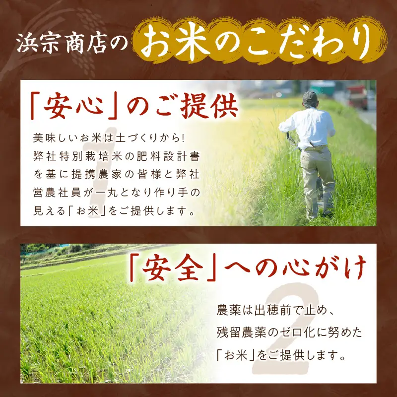 無洗米／	京都・丹後コシヒカリ 無洗米 5kg ＜創業1720年老舗米問屋がお届けする 無洗米 ＞ 作り手が見えるコシヒカリを無洗米に！ 米 無洗米、新米 無洗米、令和6年産 無洗米、お米 無洗米、こしひかり 無洗米、無洗米 5kg、お米 5kg、おこめ、こめ、コメ、無洗米、米、こしひかり、コシヒカリ