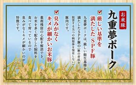 九重 夢ポーク (お米豚) 切り落とし 約1.4kg (約350g×4パック) 豚肉 豚