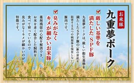九重 夢ポーク (お米豚) 切り落とし 約2.45kg (約350g×7パック) 豚肉 豚
