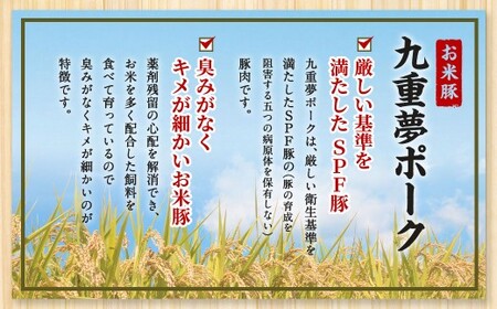 九重 夢ポーク (お米豚) 切り落とし 約3.85kg (約350g×11パック) 豚肉 豚
