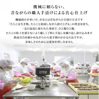 明太子 パスタソース２個 無添加 ホワイトソース 石巻金華