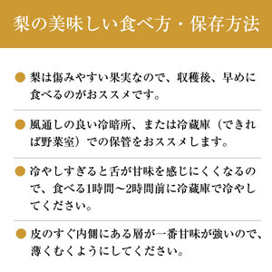 【先行受付】「丸坂山田農園」山之上 梨 1箱 ( 長寿 2.5kg 程度) | M09S66