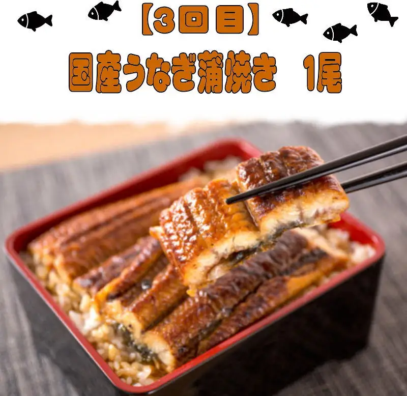 【3回定期便】人気のお魚集合定期便（さば・銀鮭・うなぎ）【tkb307】