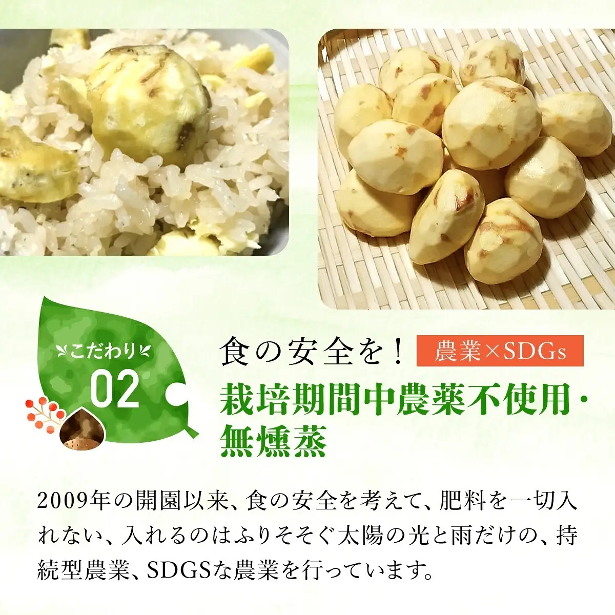栗 くり 氷蔵 丹波栗 銀寄 2L 1kg