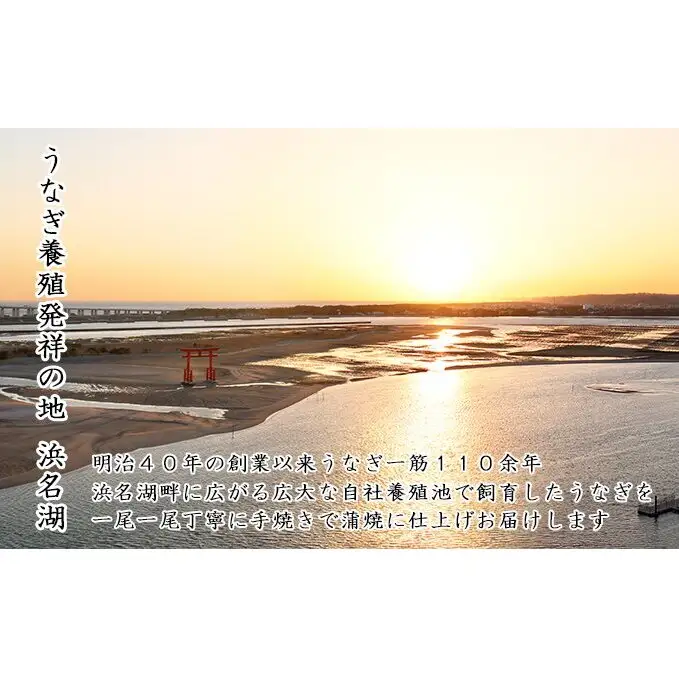 浜名湖うなぎ蒲焼 110g×3尾（計330g） 真空パック 冷蔵 【浜名湖うなぎ・国産うなぎ】 うなぎの蒲焼き 土用の丑の日 和食 魚料理 お酒のあて つまみ 手焼き 
