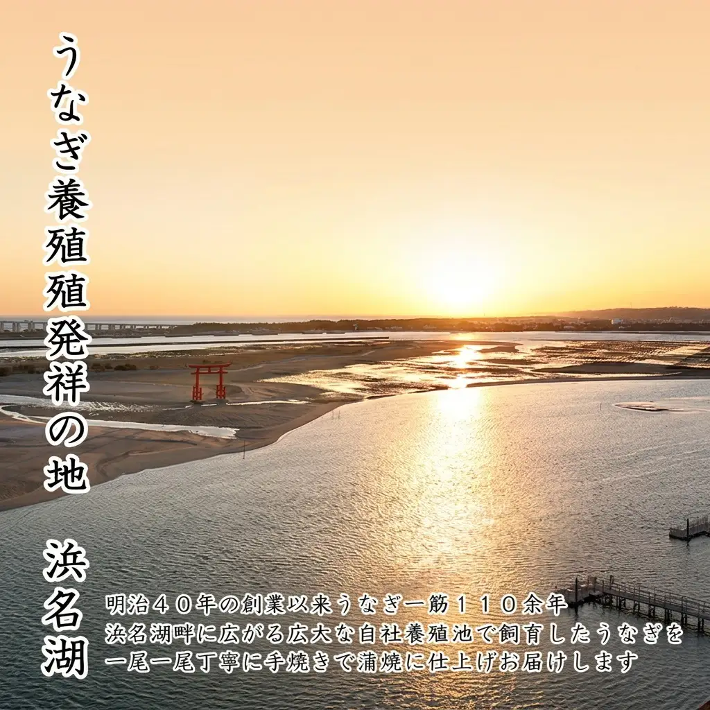 浜名湖うなぎ蒲焼 110g×4尾（計440g） 真空パック 冷蔵 【浜名湖うなぎ・国産うなぎ】 うなぎの蒲焼き 土用の丑の日 和食 魚料理 お酒のあて つまみ 手焼き 