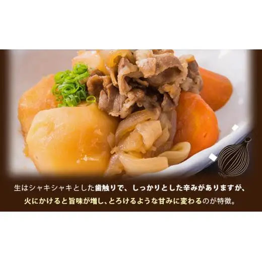 真珠の玉葱 Lサイズ5kg ≪海のミネラルで育てた玉葱≫【50103】