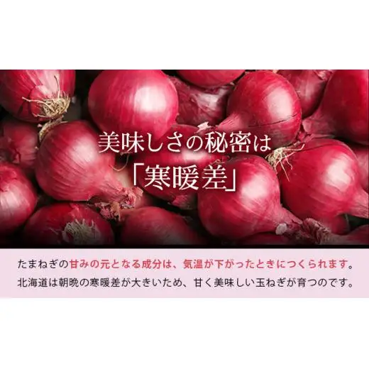 真珠の玉葱 赤玉葱Lサイズ10玉 ≪海のミネラルで育てた特別栽培玉葱≫【50107】