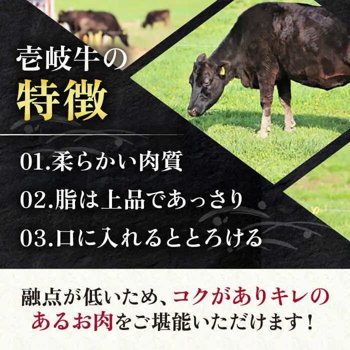 壱岐牛 切り落し （250g×4パック） [JEP004] 切り落し