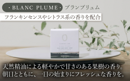 COKONLAB フェイス＆ボディソープ BR2個セット【株式会社 あつまるホールディングス NSP山鹿工場】[ZBR016]