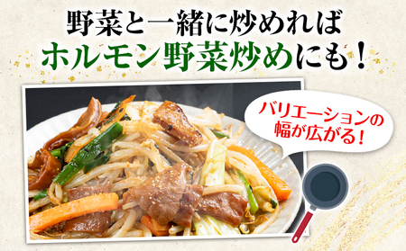 馬ホルモン焼 10個セット 10人前 (100g×10個) 千興ファーム 《60日以内に出荷予定(土日祝除く)》 熊本県 御船町 ホルモン ホルモン焼き 馬ホルモン 馬 馬肉 タレ たれ 個包装 おつまみ 送料無料 大人気 簡単調理