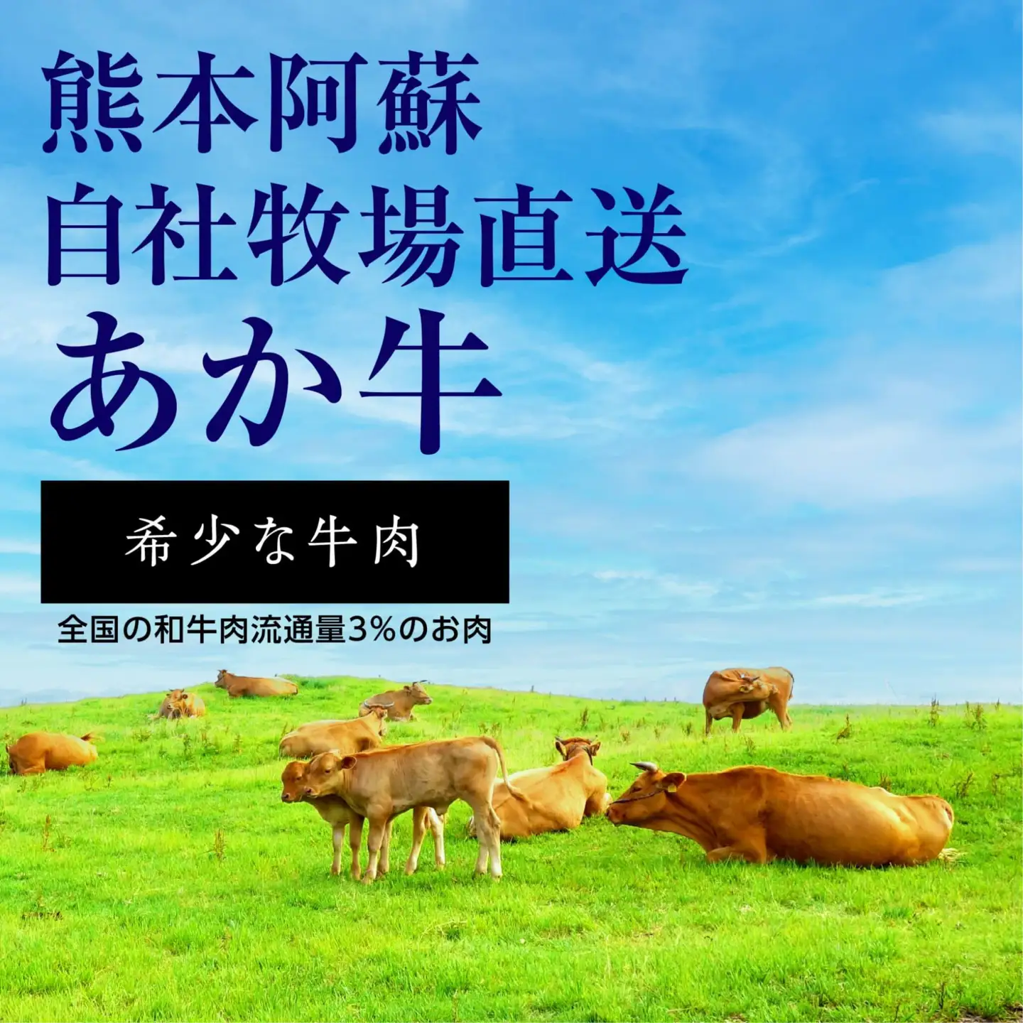 あか牛 バラ 切り落とし 500g・あか牛のタレ 200ml 付  046-0621
