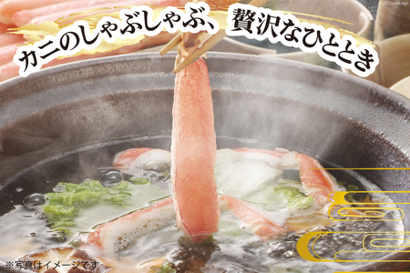 【能登半島 漁協直送！】活 加能ガニ 1尾(大サイズ)計 700g 前後