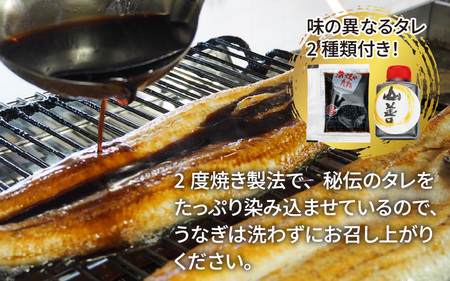 国産 活うなぎ蒲焼 有頭 約270g 2尾 2～4人前《ご寄付後、発送直前にひとつひとつ手焼き！》 [C-044001]