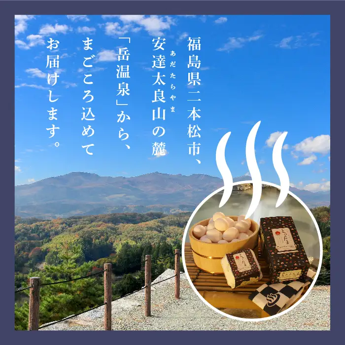 定期便 3ヶ月 温泉たまご「とろんたま」2箱セット  卵 たまご【株式会社佐藤物産】