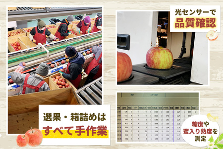 [訳あり] りんご サンふじ 3kg (9玉から12玉入り 3kg 1箱)  見た目にわけあり 味はそのまま [0838]