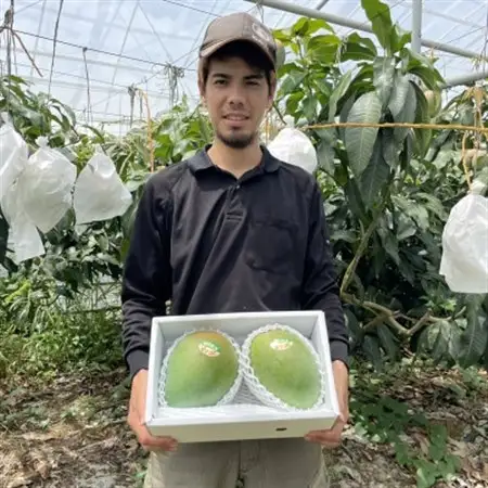 【先行受付・2026年8月から順次発送】仲本マンゴー園の幻のキーツマンゴー2.0kg(2～3玉)【配送不可地域：離島】【1418220】