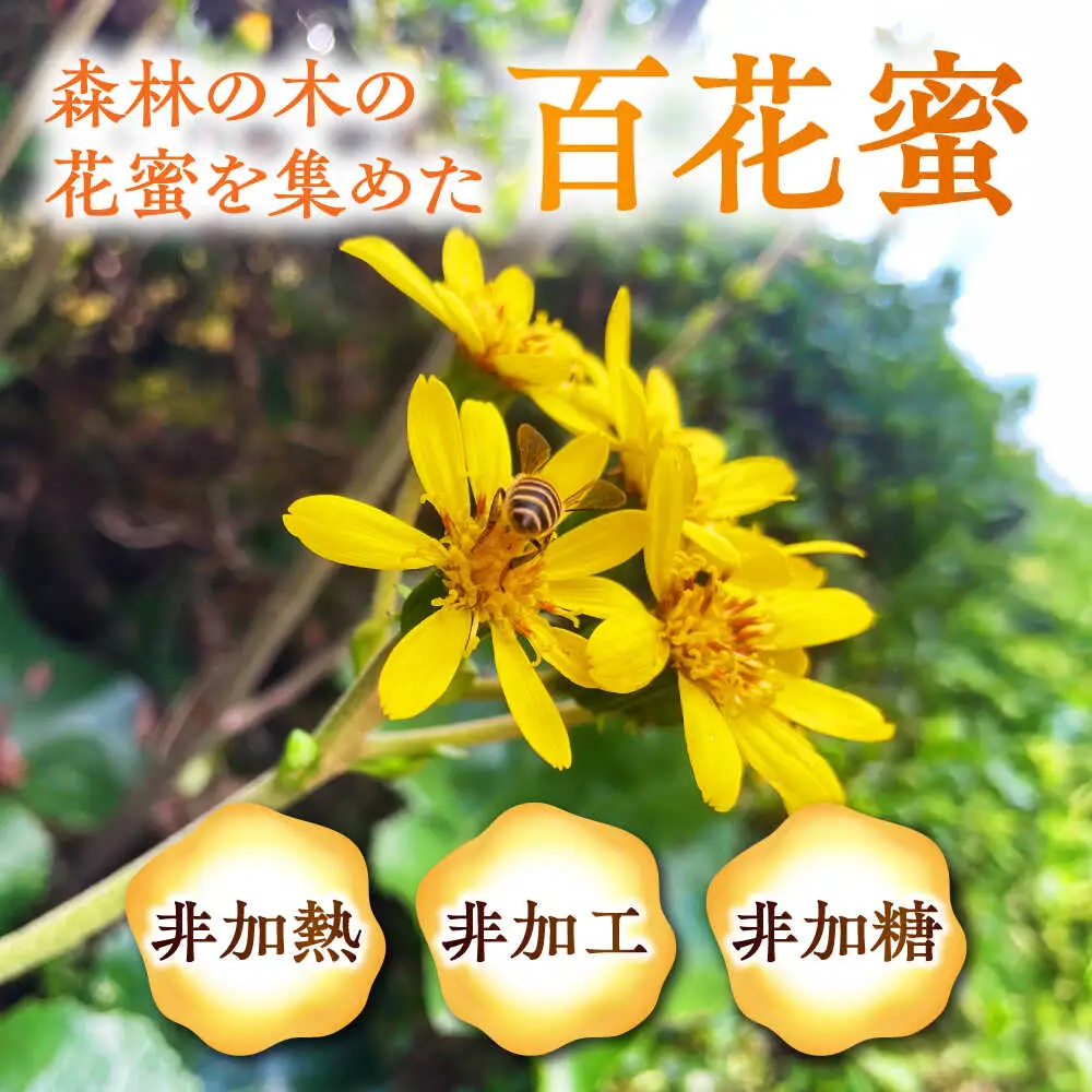 日本みつばち菊鹿約405g【山麓はっち】[ZBM010]