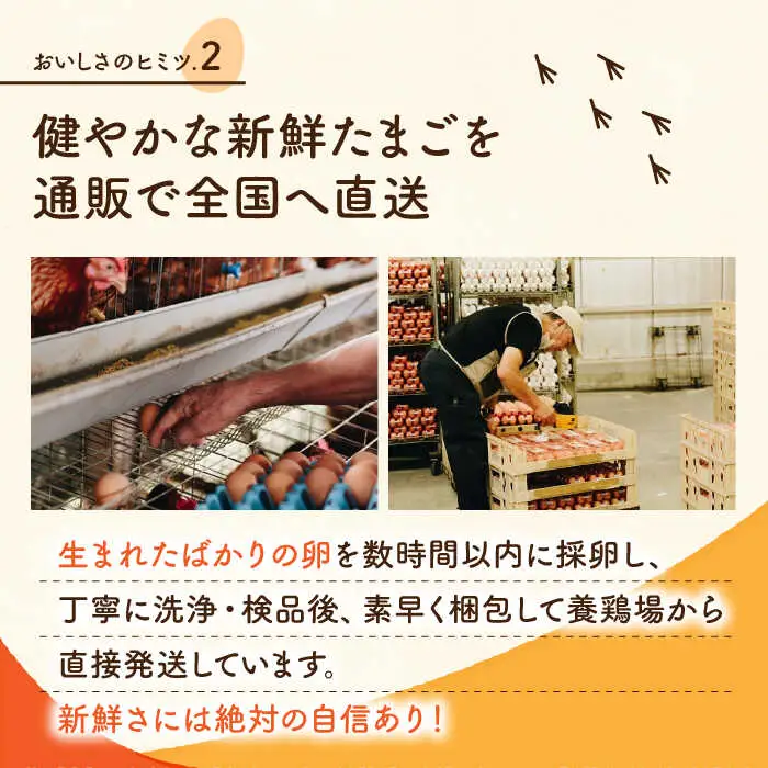白たまごM玉卵90個(85個＋5個割れ保証)卵タマゴZCA001