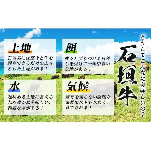 【合計1.5kg】石垣牛 100% 極めハンバーグ 150g×10個  TM-6