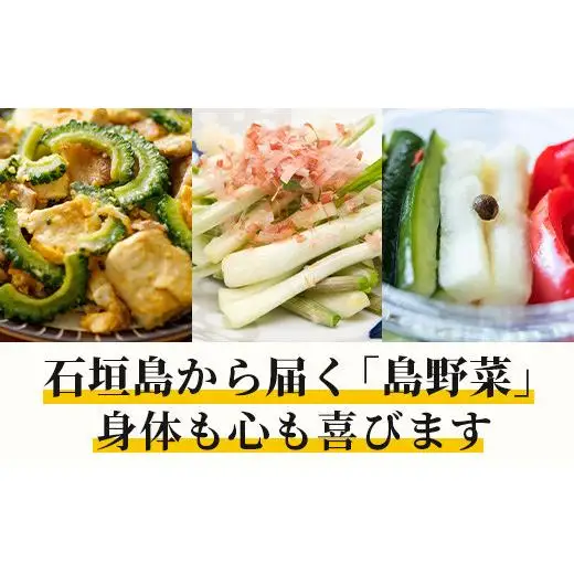 【定期便 12ヶ月】料理人が厳選した島野菜 (6～10品目×12回)   TM-8
