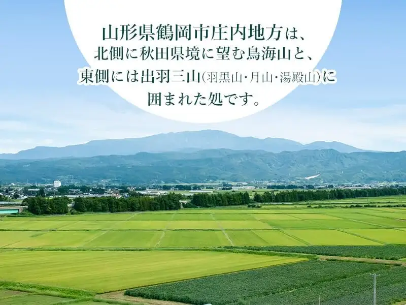 【令和7年産】 特別栽培米つや姫5kg＋雪若丸5kgセット　山形県庄内産　鶴岡米穀商業協同組合 | 米 つやひめ ゆきわかまる 食べ比べ セット 東北 山形 鶴岡 国産 ブランド米 米どころ 庄内米 ご飯 おにぎり 冷めても美味しい お弁当 おすすめ 人気 お取り寄せ 返礼品