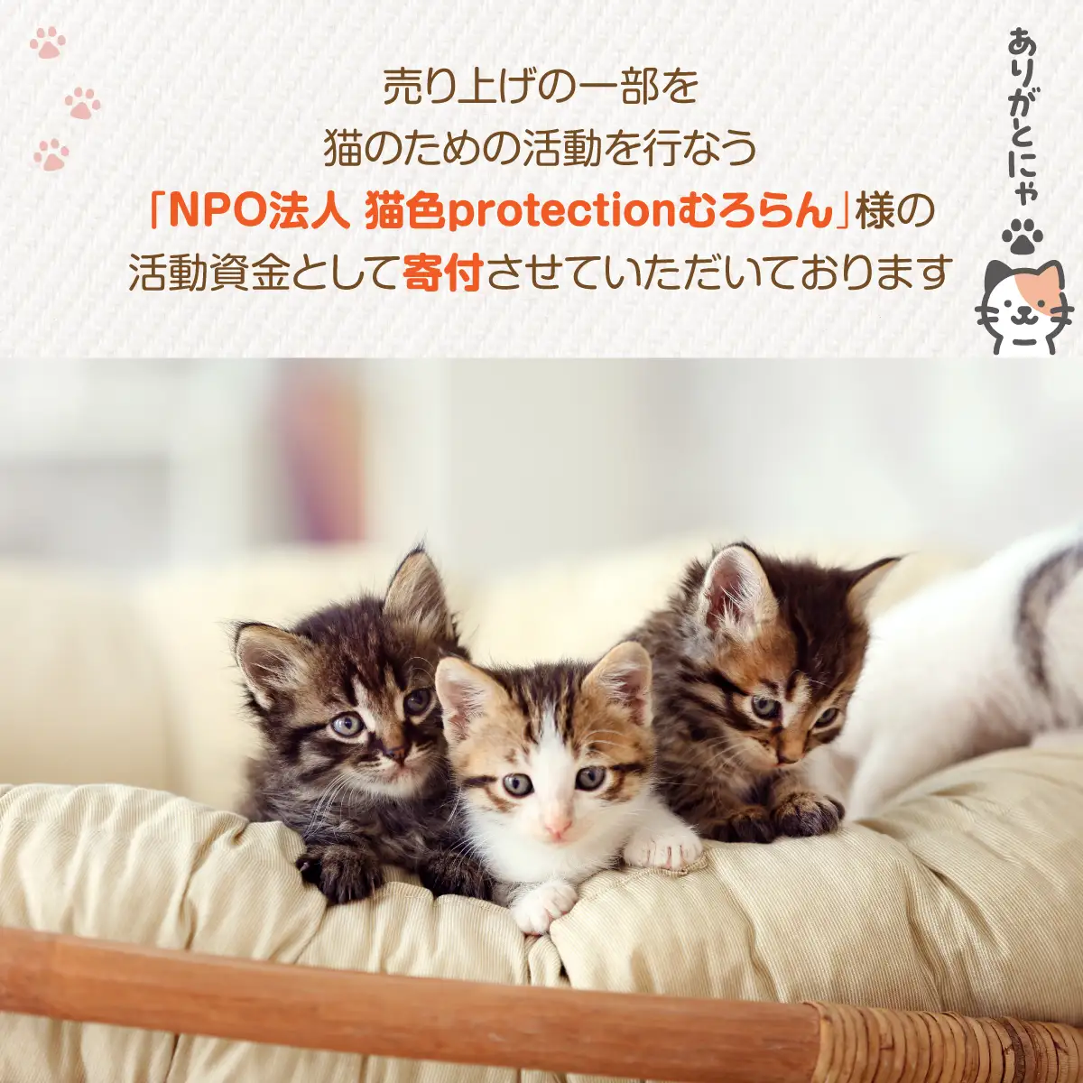 【長持ちする猫の爪とぎ】ズットモーツ 1個 MROJ001