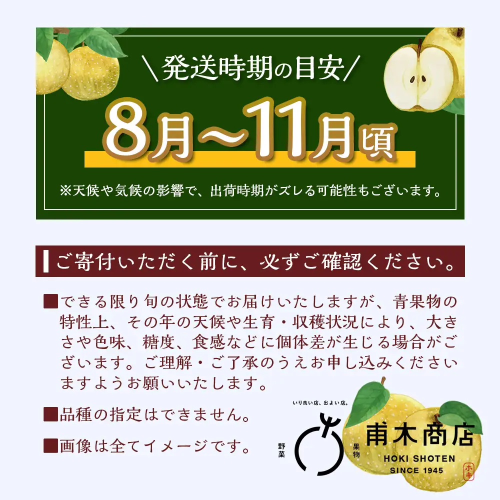 佐賀県産 梨 約5kg 旬の梨