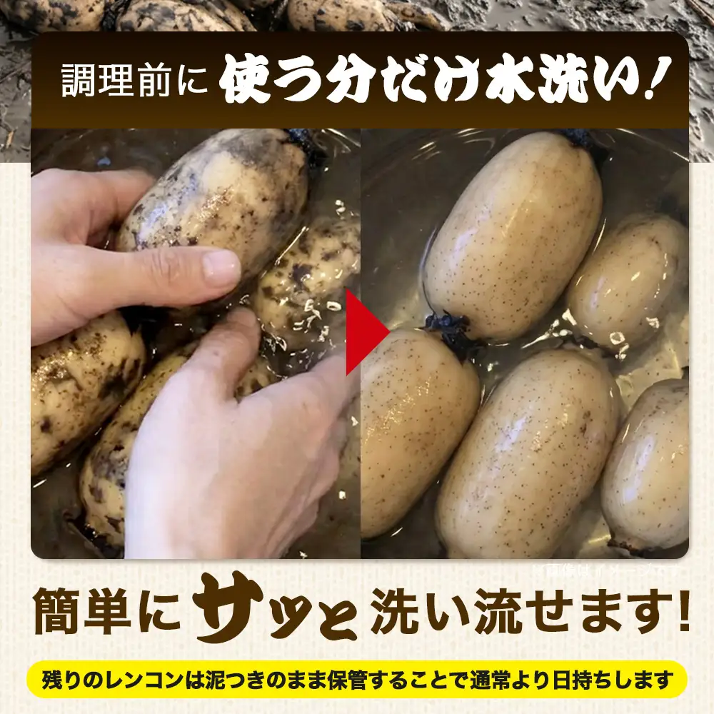 【予約受付】佐賀県産 れんこん 約4kg 野菜 やさい レンコン れんこん 蓮根 料理 贈り物 プレゼント 贈答 ギフト 野菜ギフト A-169