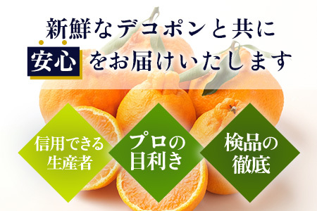 【予約受付】基準クリアの高級柑橘【デコポン】約5kg 不知火 しらぬい でこぽん みかん 蜜柑 ミカン オレンジ 柑橘 フルーツ 果物 贈り物 贈答 プレゼント 高級 ブランド 限定 ギフト B-672