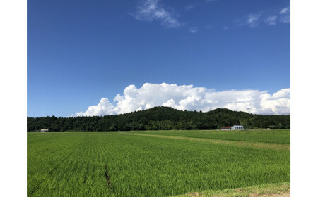【精米即日発送】【令和8年産米】新潟県村上市桃川産　直播米　泥根性こしいぶき10㎏（5kg×2袋）1040004