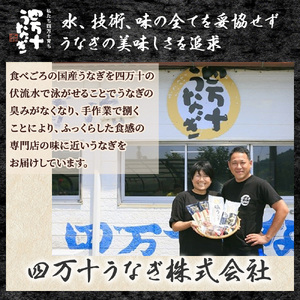 塩うなぎセット 280g（140g×2本） 四万十うなぎ 鰻 土用の丑の日 ／Esu-201