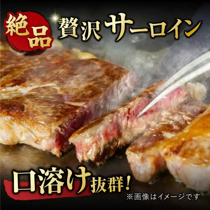 【6回定期便】艶さし！ 佐賀牛 ヒレステーキ＆サーロインステーキ 食べ比べ セット 計4.8kg  (ヒレ150g・サーロイン250g×各2枚×6回) 吉野ヶ里町 佐賀牛 ヒレ サーロイン ステーキ 牛肉 肉 ブランド牛 [FDB037]