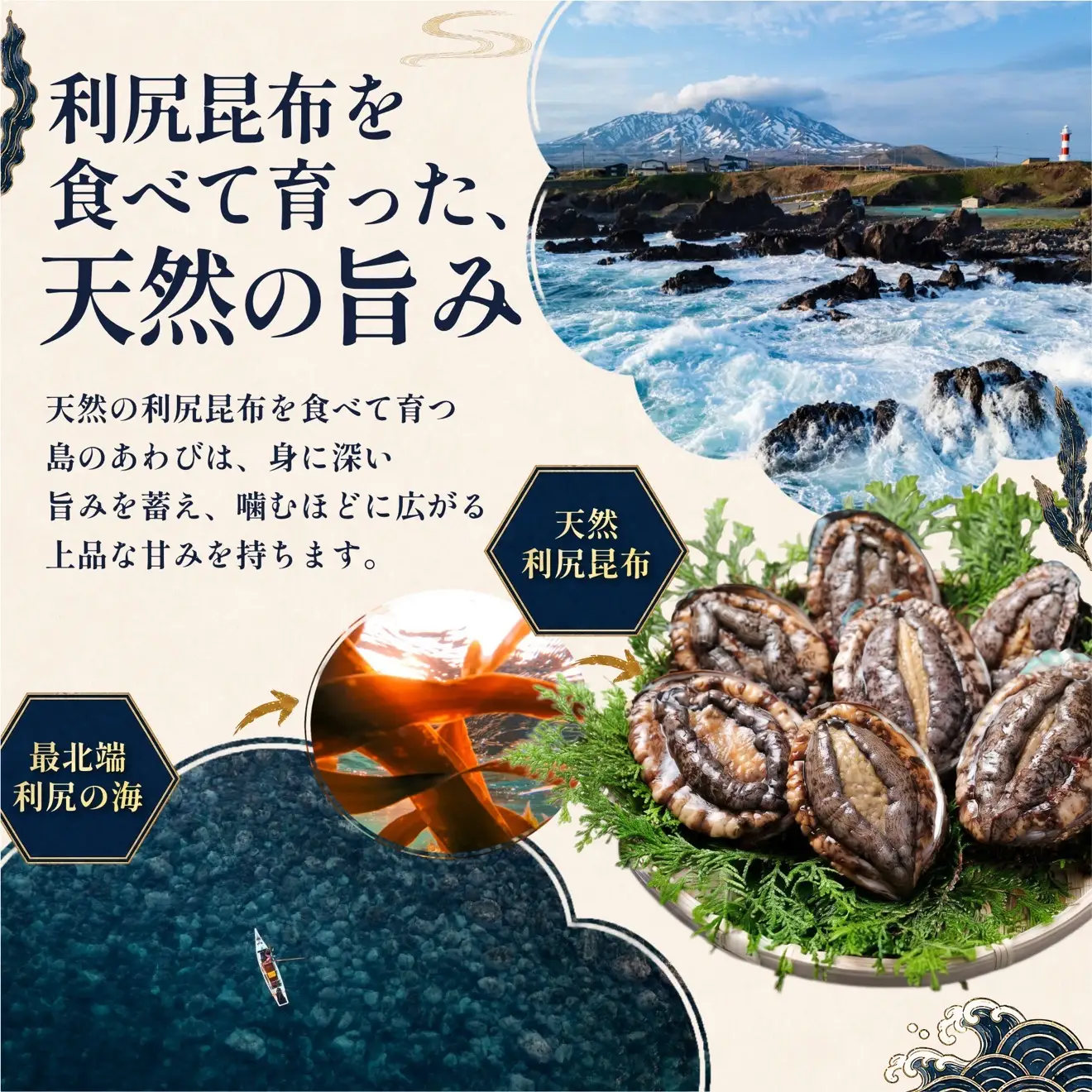 蝦夷あわび 天然 利尻島産 500g（冷凍）｜アワビ 北海道 産地直送 海鮮 刺身 天然 鮑 生食 蝦夷鮑 [1060004]