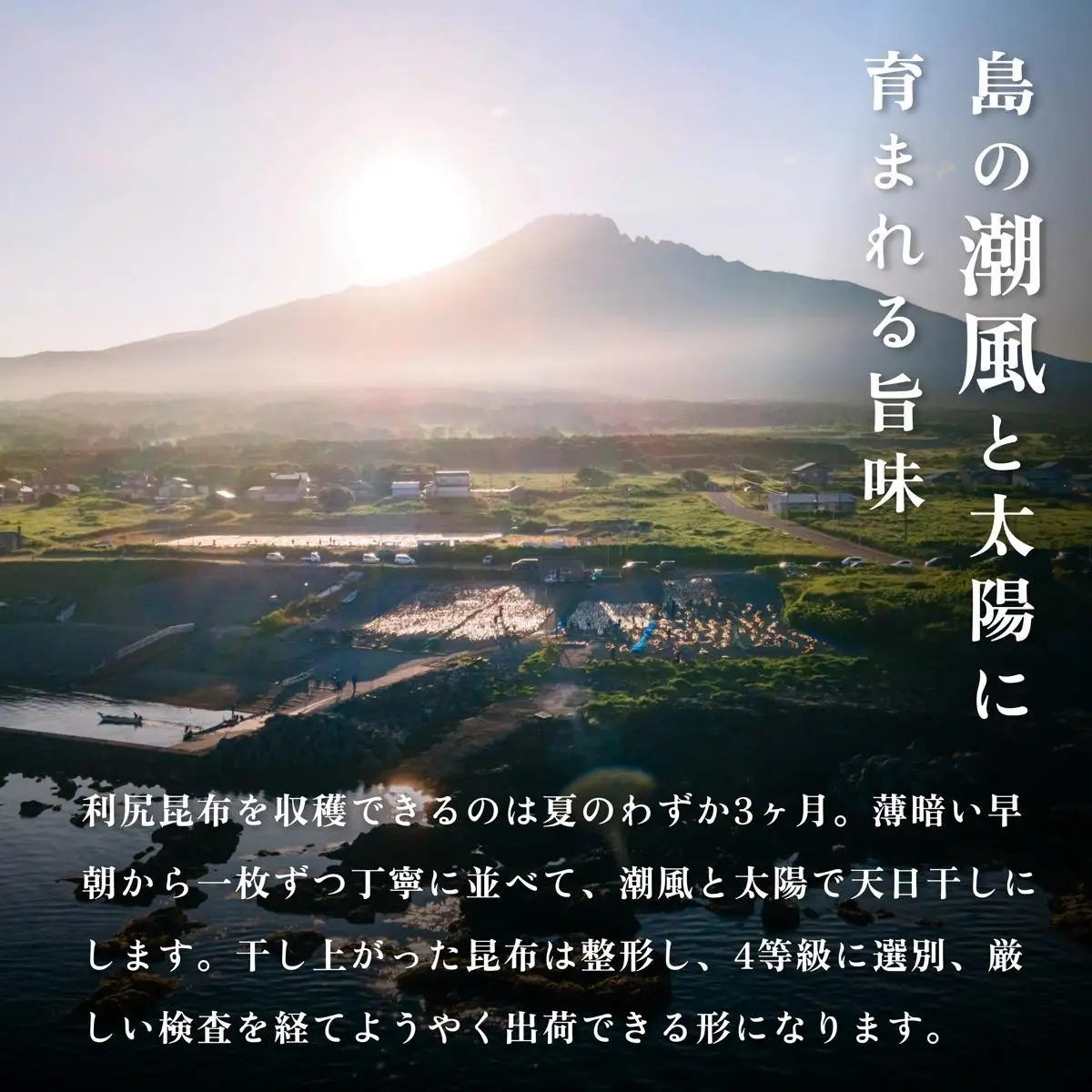 利尻島名産 利尻とろろ昆布 徳用350g｜北海道産 海藻  お鍋 和食 湯豆腐 海産物 利尻島 [1020004]