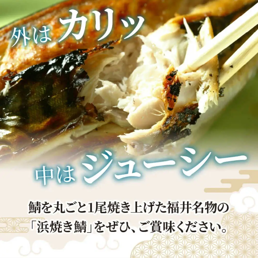浜焼き鯖 400g  1尾 【配送不可地域：離島】 小浜市 / 朽木屋 [BFCM004] 