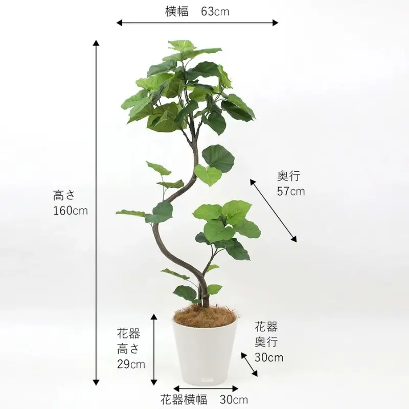 エミリオ・ロバ ウンベラータ アーティフィシャルグリーン 造花 観葉植物 水やり不要 インテリア