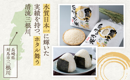 【先行予約】【全3回定期便】 特A 対馬産 にこまる 5kg×2「ほたる舞う三根川の米」  米 お米 ご飯 ごはん 白米 10kg 10キロ 産地直送 贈答用 特A 定期便 [WAJ006]