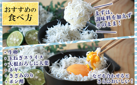 ＜老舗網元 濱田屋の釜あげしらす 計1kg（100g×10袋）＞『1か月以内に順次出荷予定』 減塩 数量限定 化粧箱 簡易包装 選べる 釜揚げ シラス じゃこ 海鮮 海産物 丼 小魚 乾物 小分け カルシウム 国産 マルヨシ水産 愛媛県 西予市【冷凍】 AMS0015
