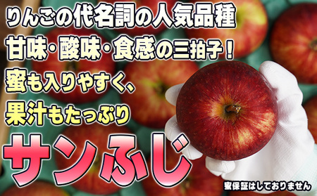 りんごサンふじ 訳あり家庭用 葉取らず青森県産りんご【約5kg】