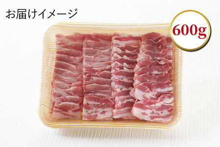 福井白山ポーク豚バラ　600ｇ