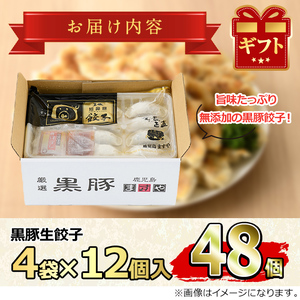 【ふるなびWEEK対象】鹿児島黒豚 餃子 48個 鹿児島ますや 0125145a