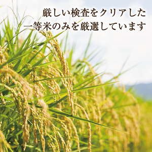 【ふるさと納税】令和8年産 福岡県産 米 食べ比べ＜無洗米＞セット「夢つくし」と「元気つくし」2種類 計20kg入り [a7262] 株式会社 ゼロプラス 【返礼品】添田町 ふるさと納税