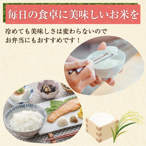 【ふるさと納税】令和8年産 福岡県産 ブランド米「元気つくし」無洗米 5kg [a6256] 株式会社 ゼロプラス 【返礼品】添田町 ふるさと納税
