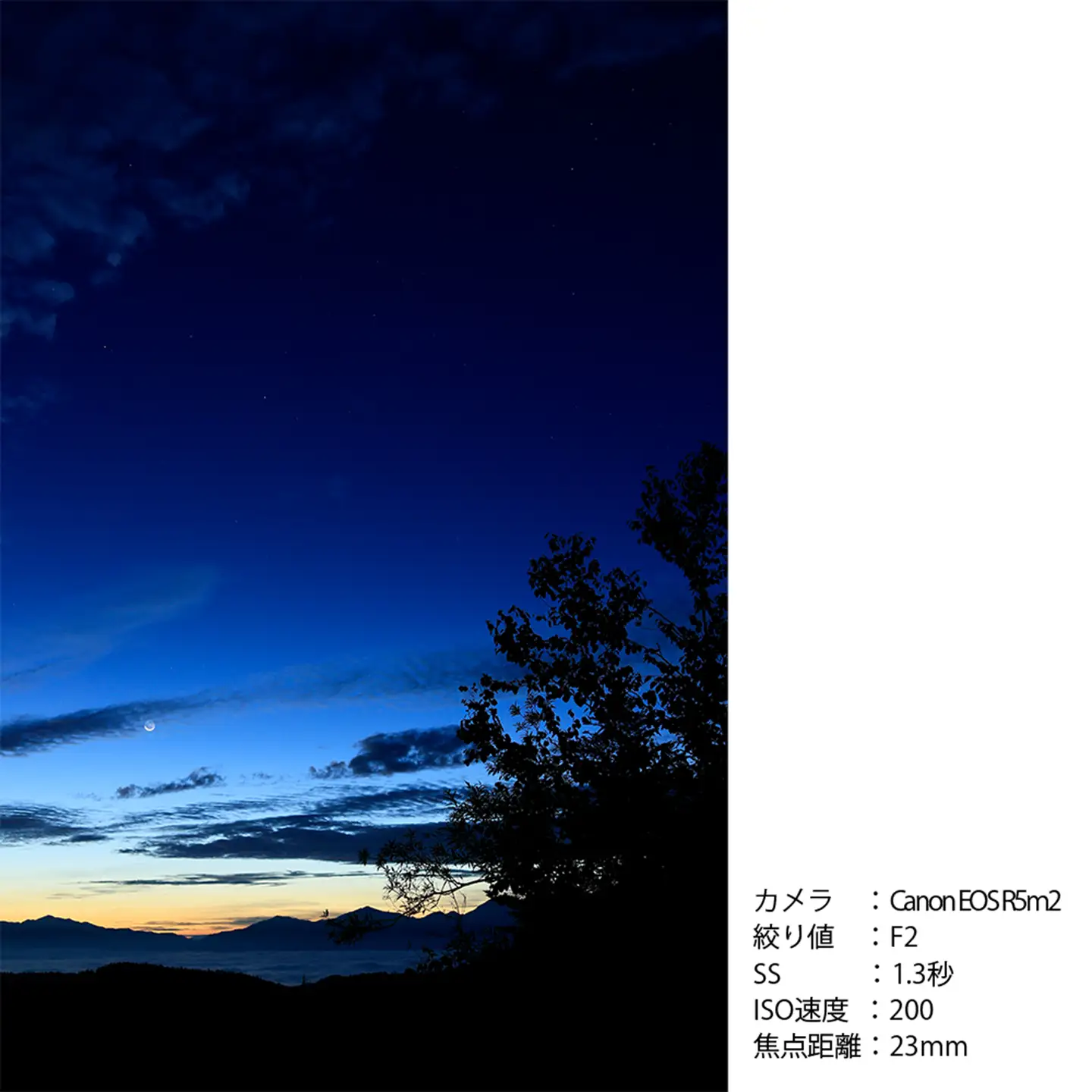 SIGMA 23mm F1.4 DC DN | Contemporary【ソニーEマウント】